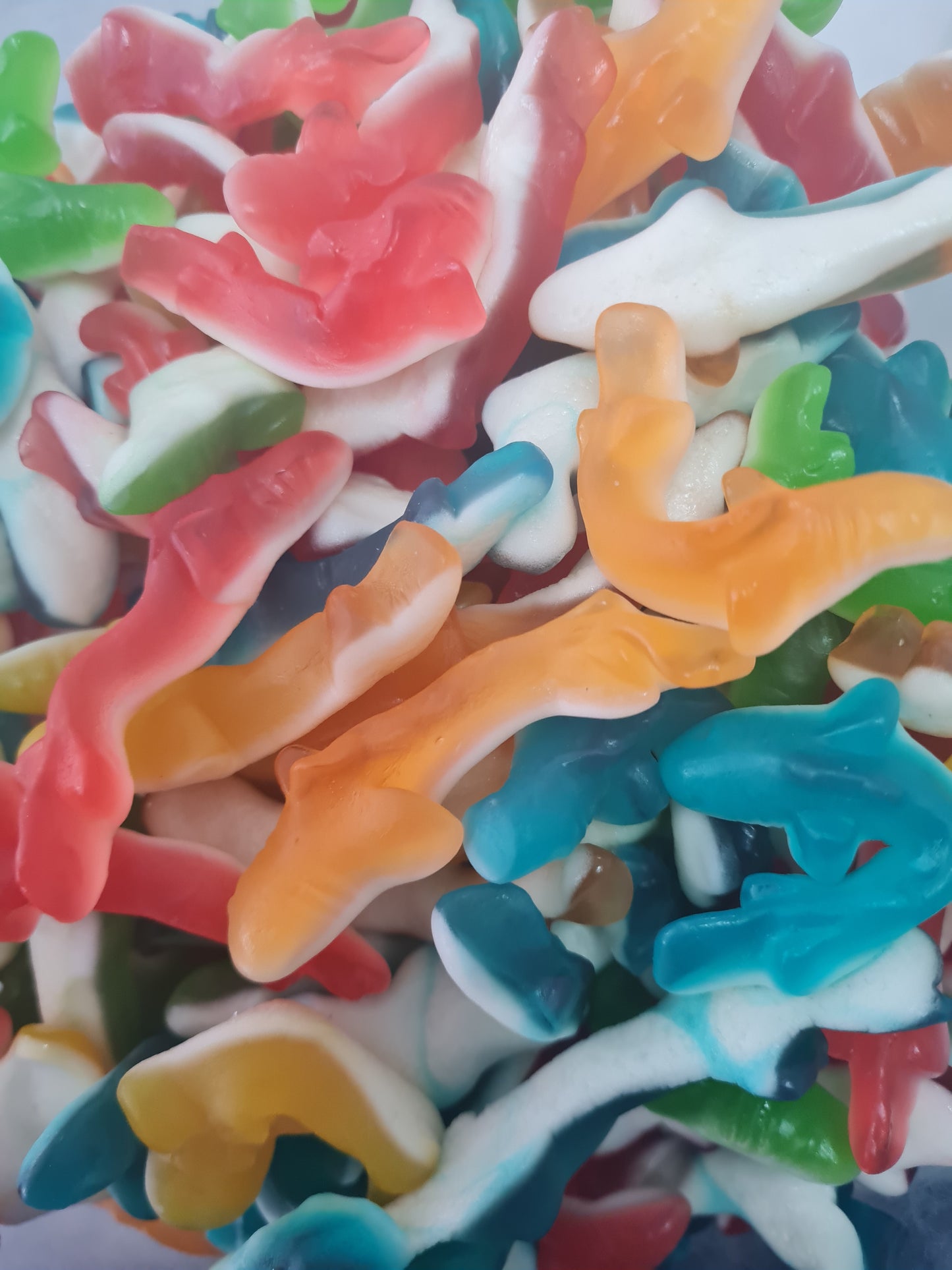 Jelly Gummy Sharks
