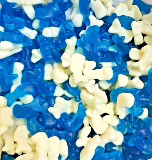 Baby dolphins - MyCandyBae